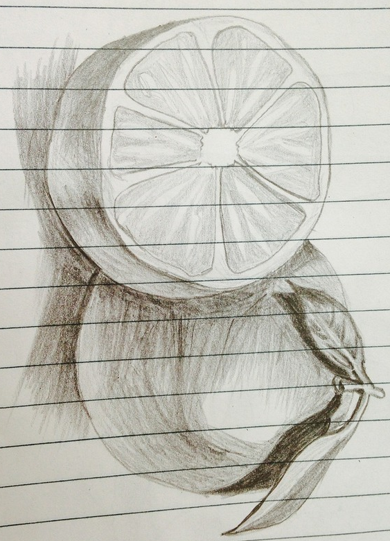 Pencil and paper drawing of a fruit